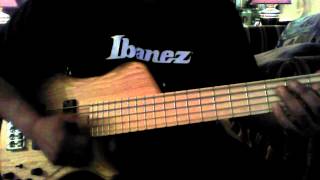 Walt Finnerty Dunlop Super Bright Stainless Steel Bass Strings Demo [upl. by Bora783]