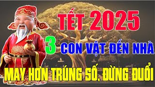 CHUYỆN TÂM LINH Từ Giờ Đến TẾT 2025 3 CON VẬT NÀY ĐẾN NHÀ MAY HƠN TRÚNG SỐ ĐỪNG DẠI ĐUỔI ĐI [upl. by Helban]