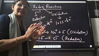 REDOX REACTIONS1 [upl. by Hanan]