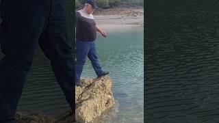 Adana sazan avı sazanavi story carpfishing [upl. by Anelehs]