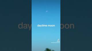 daytime moon comedy americanpolitician jesuschrist [upl. by Einamrej]