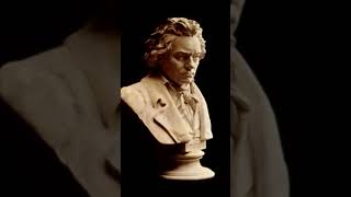 Symphonie nº 5 beethoven [upl. by Fawna]