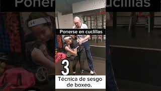 Elementos básicos del boxeo Pendiente [upl. by Sandor]