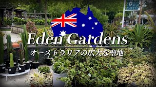 【規格外の広さ！】オーストラリア企画第1弾！温暖な国ならではの豊富な植物を紹介！【植栽】【オージープランツ】 [upl. by Aivizt]