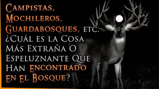 Campistas Mochileros etc ¿Cuál es la cosa más ESPELUZNANTE Que Han Encontrado En El Bosque [upl. by Barnie]