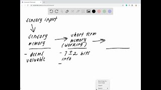 What two new concepts update the classic AtkinsonShiffrin threestage informationprocessing model [upl. by Antonia]