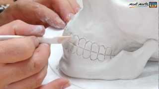 How to make a skull using air hardening modelling clay [upl. by Nareik]