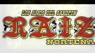 vuelve mi amor raiz norteña [upl. by Novoj]