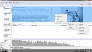 Foobar 2000 tutorial Instalacion y Customizacion basica Parte 2 [upl. by Leodora596]