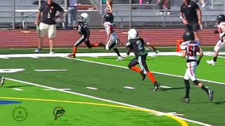 Tri City Dolphins VS San Ramon Bears Pee Wee [upl. by Pontias223]