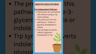 Plant Hormone Auxin with notes and biosynthetic path feedshorts agriculture notes studyshorts [upl. by Aihsein]