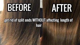 How To Get Rid Of Split Ends WITHOUT affecting length [upl. by Ednutey595]