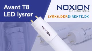 Noxion Avant T8 LED lysrør  Lyskilderdirektedk [upl. by Maynard791]