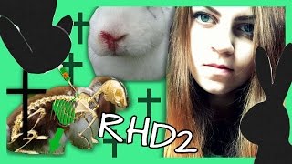 RHD  RHD2 Virus  Wie Kaninchen schützen [upl. by Soigroeg]