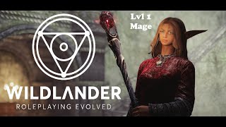 Skyrim Lvl 1 Mage Breaking the in 10 minutes  Wildlander 3BTweaks  EP 01 [upl. by Yeclehc]