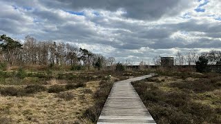 Trailrun Soestduinen [upl. by Bordie580]