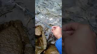 Feel the sound of natural river and fishing at hilly regions of Nepal [upl. by Ajdan]