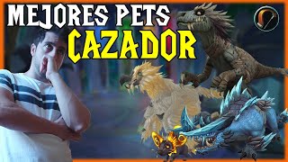 🐾 MEJORES MASCOTAS para CAZADOR 🏹  World of Warcraft DRAGONFLIGHT [upl. by Ennayrb]