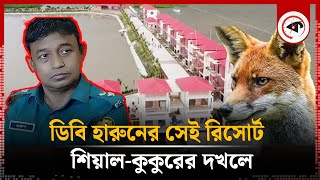 ডিবি হারুনের সেই রিসোর্টে এখন শিয়ালকুকুরের রাজত্ব  Harun Or Rashid  President Resort  Kalbela [upl. by Ardnuhsor]