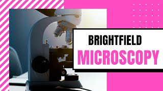 Compound Light Microscopy Made Easy [upl. by Bryant]