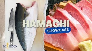 Yellowtail Hamachi Seafood Showcase PSD Group [upl. by Cagle]