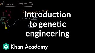 Introduction to genetic engineering  Molecular genetics  High school biology  Khan Academy [upl. by Anirret]