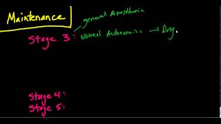 The Stages of Anesthesia The Basics Guedels Classificaiton [upl. by Bondon]