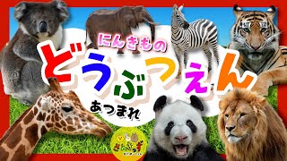 【子供向け どうぶつアニメ】動物園に行こう！☆パンダ キリン ライオンなどどうぶつえんで人気の動物が14種類登場するよ！｜うごく動物ずかんで動物の名前を覚えよう◎ 【子供が喜ぶ 動物の知育動画】 [upl. by Ariom]