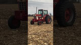 1977 International 1086 Row Crop Tractor [upl. by Zeus]