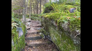 Stair Climb [upl. by Akeimat733]