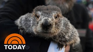 It’s Groundhog Day Did Punxsutawney Phil see his shadow [upl. by Yssirk]