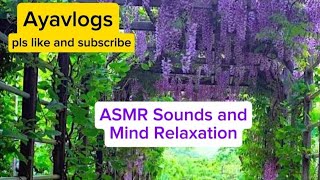 ASMR Sound and Mind Relaxation [upl. by Morell448]