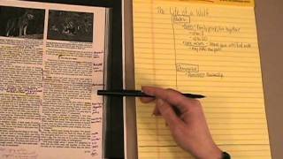 Creating Cornell Notes [upl. by Haisi]