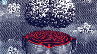 5 Very Mysterious Brain Disorders We Just Cant Understand [upl. by Enirrok]