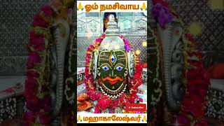 மஹாகாலேஷ்வர் ஜோதிர்லிங்கம்12jyotirlingam mahakaleshwar navagraham omnamahshivaya AKP MPujjain [upl. by Liebman]