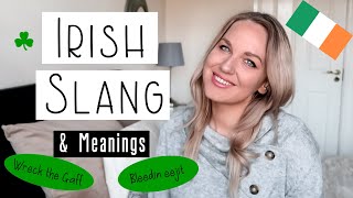 Irish Slang and Phrases [upl. by Elbys]