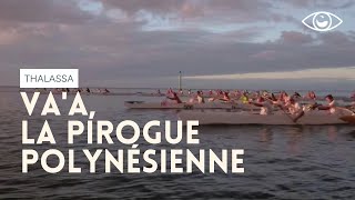 Vaa la pirogue polynésienne  Thalassa [upl. by Dodi]