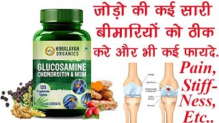 Himalayan Organics Glucosamine Chondroitin amp MSM Vegetarian Tablet Benefits Dosage Side Effects [upl. by Tteve936]