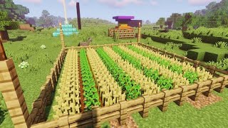 New crop Farm Maincraft Survival Hindi 2 [upl. by Yrffej382]