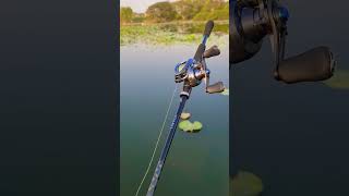 Daiwa TATULA XT VS Shimano Slx DC xt 71XG [upl. by Lourie]