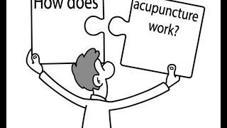 An Easy Way to Understand how Acupuncture Works to Heal the Body [upl. by Nellac]