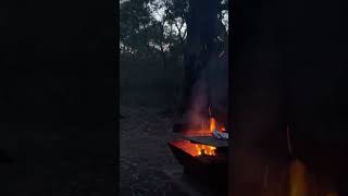 Sunset by campfire at Tanner Road Campground in the Great Otway National Park near Anglesea [upl. by Atalee]