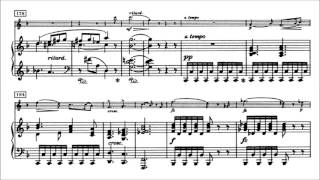 Edvard Grieg  Violin Sonata No 1 Op 8 With score [upl. by Brunella]