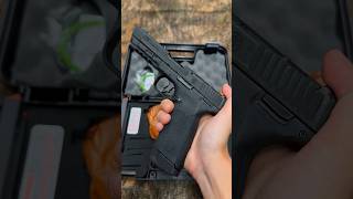 Best Budget 22 Magnum Pistol [upl. by Engis]