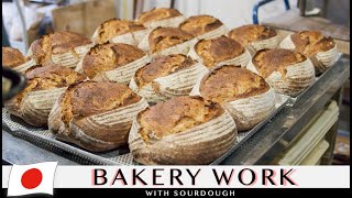 Solo baker 25 kinds of bread a woodfired oven  Sourdough bread making in Japan  Documentary [upl. by Ninerb691]