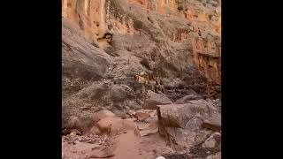 Slot canyon Paria [upl. by Alyk]