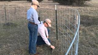 How to Set a Trip Line for a Hog Wild Trap [upl. by Wyatan]