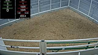 Everson Auction Market Live Stream 11202024 [upl. by Yorick]