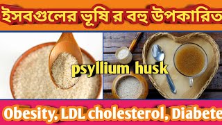 BENEFITS OF PSYLLIUM HUSK ইসবগুলের ভুষির পাঁচটি গুরুত্বপূর্ণ উপকারিতা  Wellness with Sumita [upl. by Aynahs]