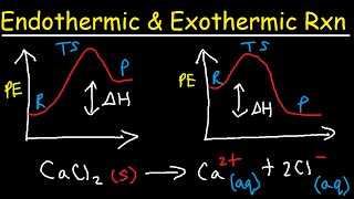 Endothermic and Exothermic Reactions [upl. by Viviene862]